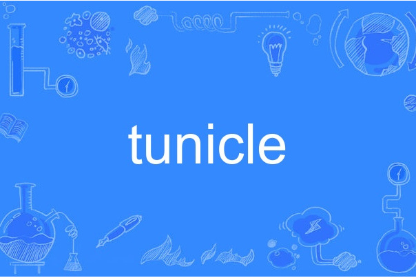 tunicle tunicle