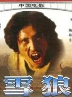 高寶寶