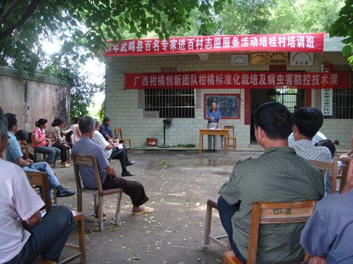 培桂村 培桂村