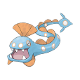 獵斑魚(大口鰻) 獵斑魚(大口鰻)