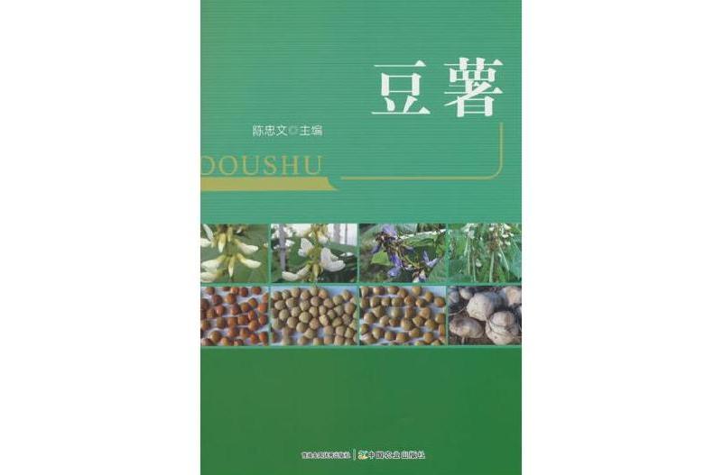 豆薯(陳忠文創作的圖書) 豆薯(陳忠文創作的圖書)