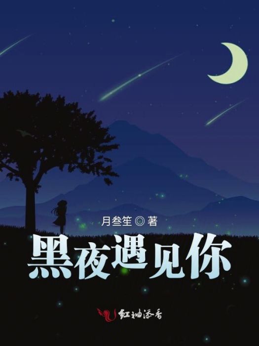 黑夜遇見你 黑夜遇見你