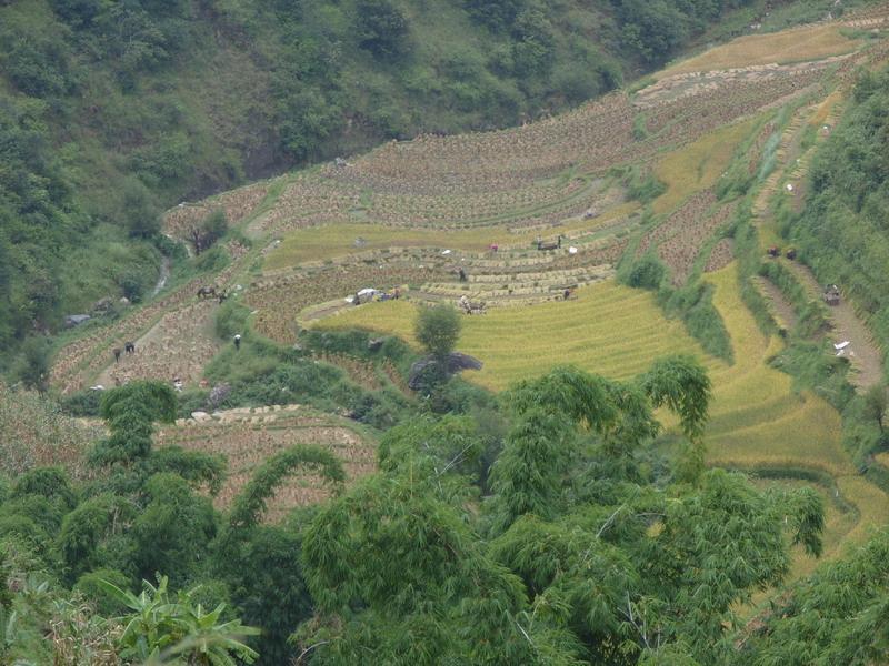 羅地基下村