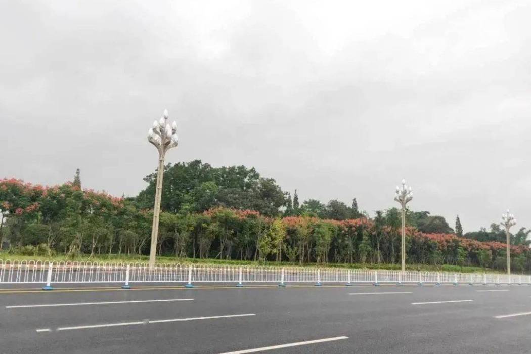 鳳鳴大道(荊州市鳳鳴大道) 鳳鳴大道(荊州市鳳鳴大道)