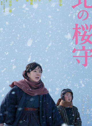 吉永小百合 吉永小百合