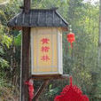 黃楮林 黃楮林