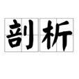 剖析 剖析