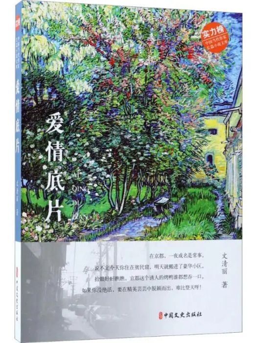 愛情底片(2018年中國文史出版社出版的圖書)