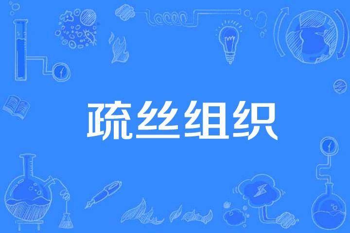 疏絲組織 疏絲組織
