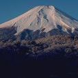 富士山樹海 富士山樹海