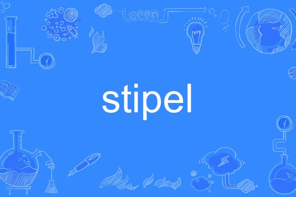 stipel stipel