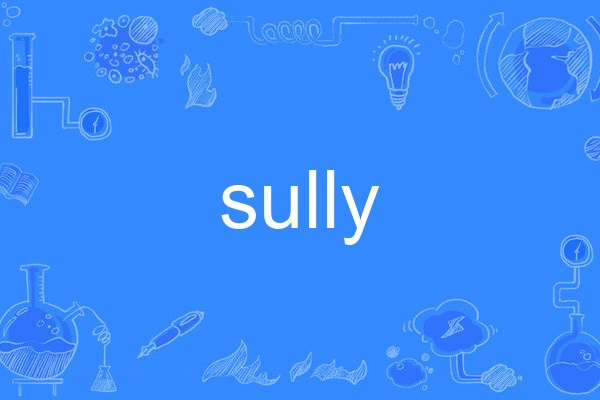 Sully(英語單詞) Sully(英語單詞)