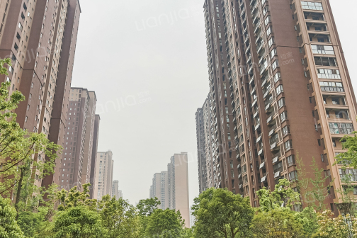 清溪庭苑 清溪庭苑