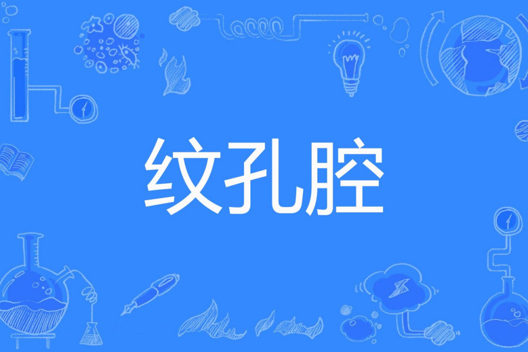 紋孔腔 紋孔腔