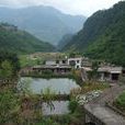 中壩村(雲南省昭通市綏江縣板栗鄉下轄村) 中壩村(雲南省昭通市綏江縣板栗鄉下轄村)