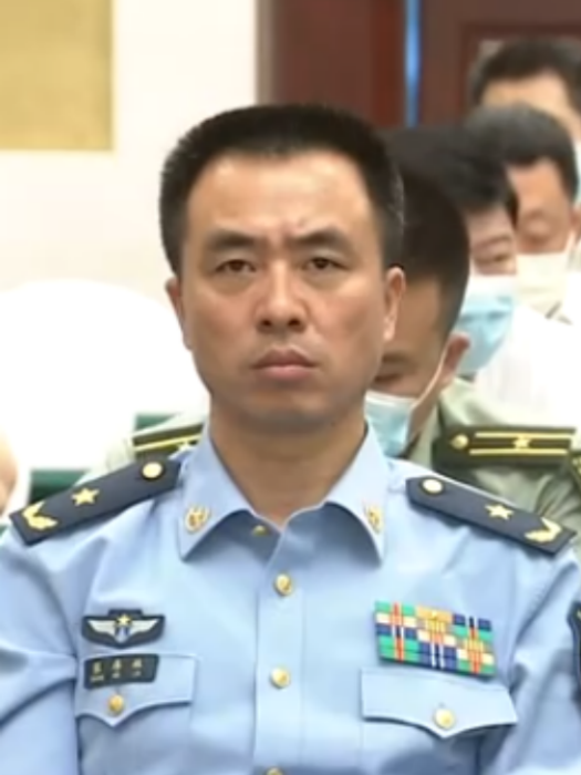 張偉林(空軍駐武漢某基地司令員) 張偉林(空軍駐武漢某基地司令員)