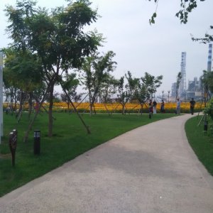 蟹子灣公園 蟹子灣公園