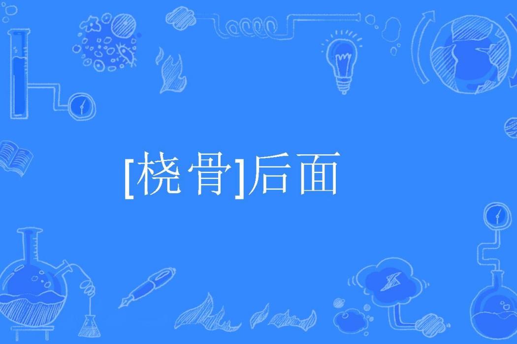 [橈骨]後面