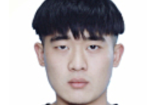 雷宏亮(雕塑家) 雷宏亮(雕塑家)
