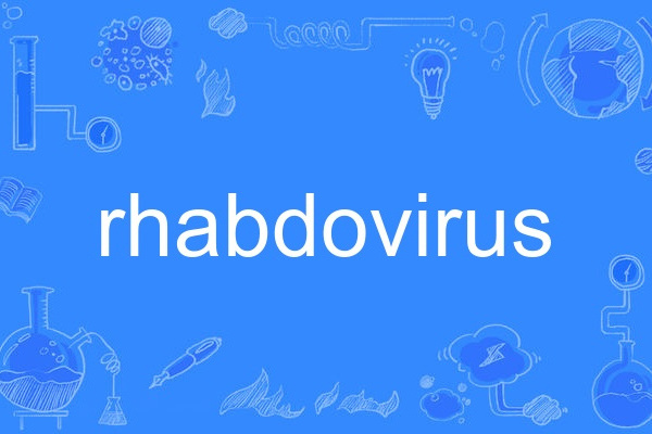 rhabdovirus rhabdovirus