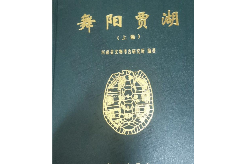 舞陽賈湖(1999年科學出版社出版的圖書) 舞陽賈湖(1999年科學出版社出版的圖書)