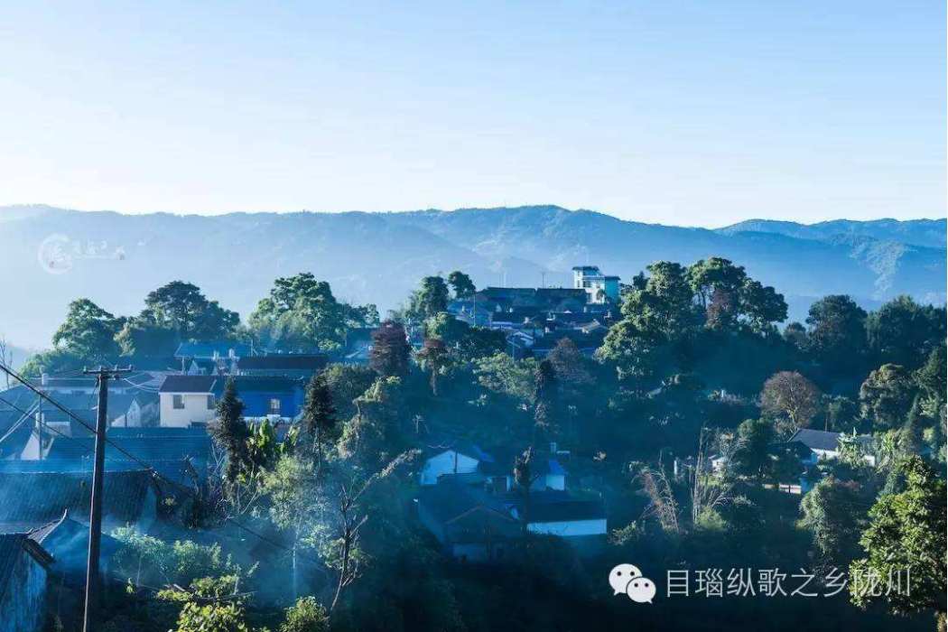 杉木籠村 杉木籠村