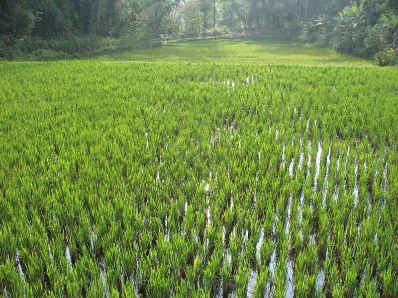 村兜村 村兜村