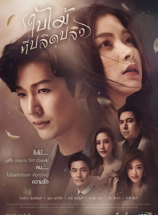 平采娜·樂維瑟派布恩(Baifern)
