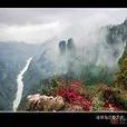 黎芝峽 黎芝峽