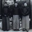 徐鼐霖 徐鼐霖