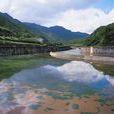 河川襲奪 河川襲奪