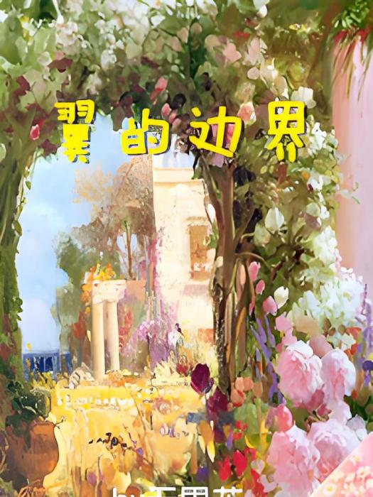 翼的邊界