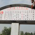 台兒莊公交 台兒莊公交