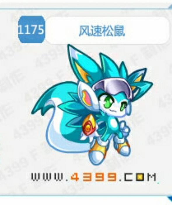風速松鼠 風速松鼠
