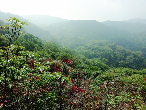 銀竹老山資源冷杉國家級自然保護區