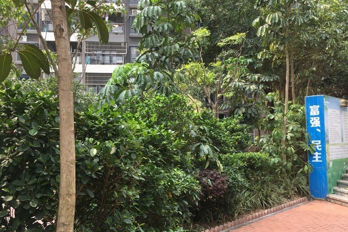 長汀花園 長汀花園
