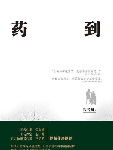 藥到病除(程雲川創作的作品集) 藥到病除(程雲川創作的作品集)