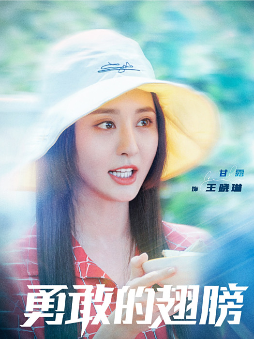王曉琳(《勇敢的翅膀》中的虛構角色) 王曉琳(《勇敢的翅膀》中的虛構角色)