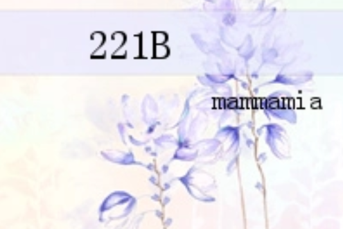 221B 221B