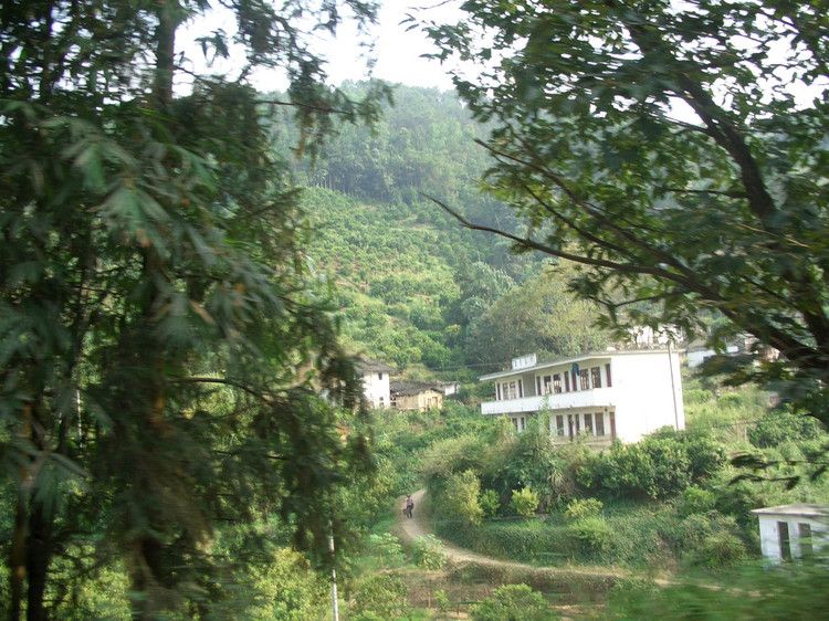 雙就村 雙就村