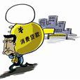 貸款消費 貸款消費