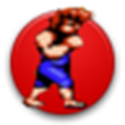 雙截龍2代 雙截龍2代