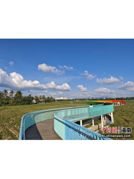 水蛟村(海南省三亞市天涯區下轄村) 水蛟村(海南省三亞市天涯區下轄村)