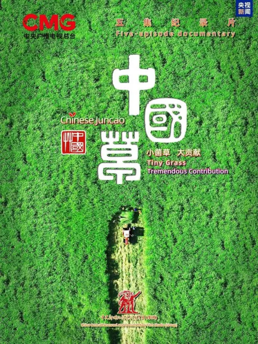 中國草(2024年張芳執導的紀錄片)