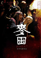 麥田(2009年何平執導電影)