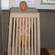 餓刑 餓刑