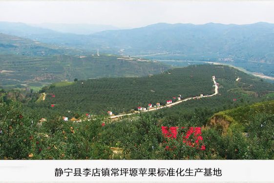 雷溝村(甘肅靜寧縣治平鎮管轄村) 雷溝村(甘肅靜寧縣治平鎮管轄村)