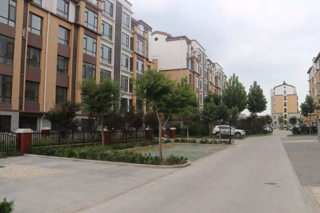 華都橄欖城 華都橄欖城
