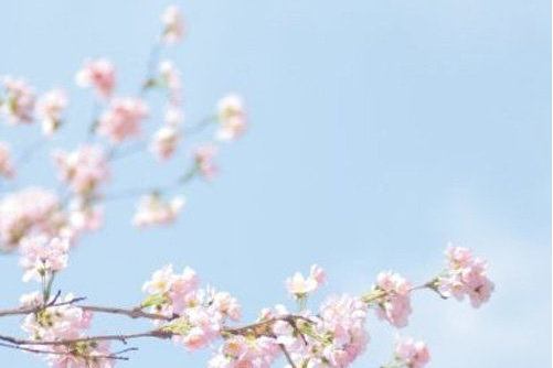 貞子_ 貞子_
