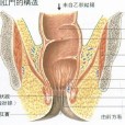 林墨園 林墨園
